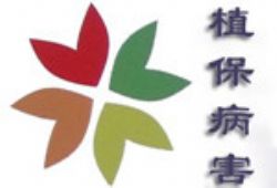 ߲˛_ʩʌңS˪ùlԭ򼰷η