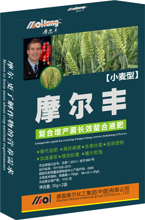 小麥葉面肥-摩爾豐 小麥葉面肥-摩爾豐