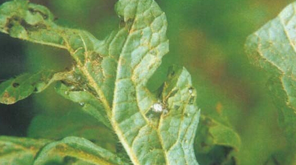 ϲţϼԽǰ߲Y~Ƭ_ѝôk