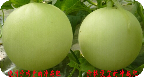 甜瓜沖施肥對(duì)比效果 甜瓜沖施肥對(duì)比效果