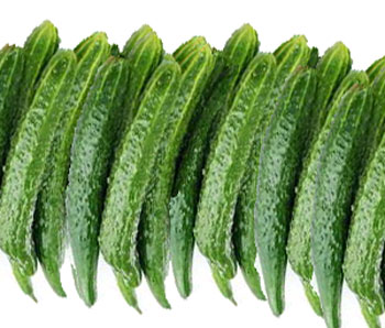 黃瓜產量-低端沖施肥 黃瓜產量-低端沖施肥