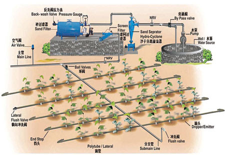 滴灌設備 滴灌設備