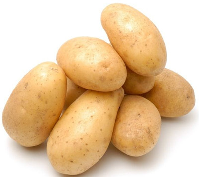 高產馬鈴薯 高產馬鈴薯