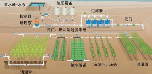 標(biāo)準(zhǔn)滴灌設(shè)備 標(biāo)準(zhǔn)滴灌設(shè)備