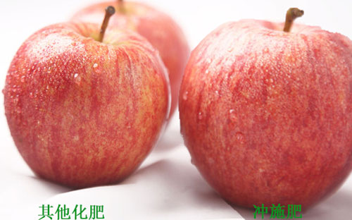 沖施肥使用效果 沖施肥使用效果