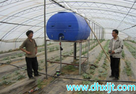 黃瓜滴灌施肥 黃瓜滴灌施肥