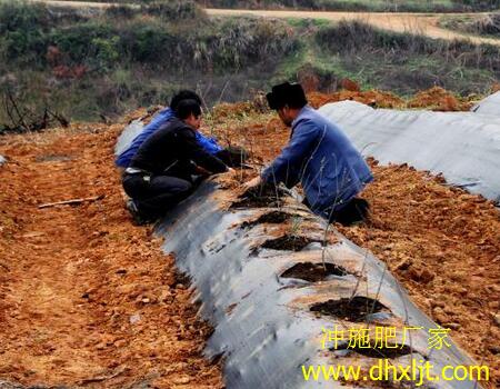 沖施肥施用注意 沖施肥施用注意