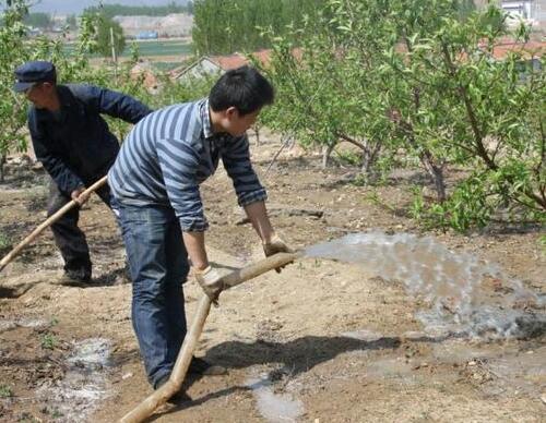 果樹上怎么使用沖施肥 果樹上怎么使用沖施肥