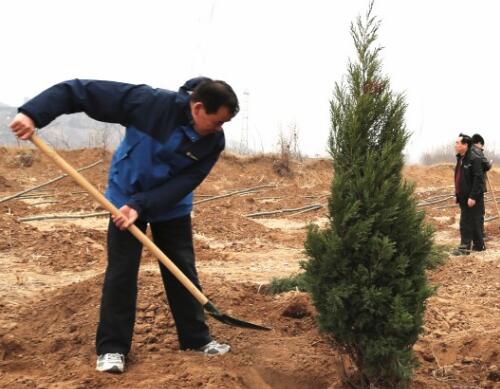 種樹怎么施肥 種樹怎么施肥