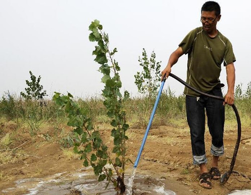 種樹怎么施肥 種樹怎么施肥