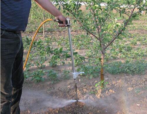 果樹上怎么使用沖施肥 果樹上怎么使用沖施肥