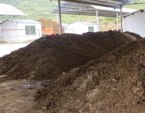 茄子用什么沖施肥好 茄子用什么沖施肥好