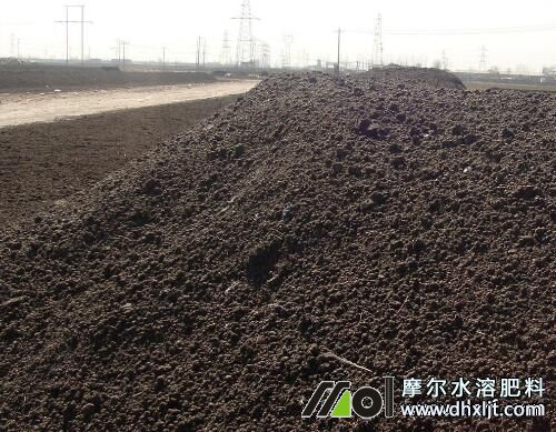 辣椒種植施底肥 辣椒種植施底肥