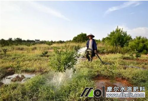 水沖肥見效時間 水沖肥見效時間