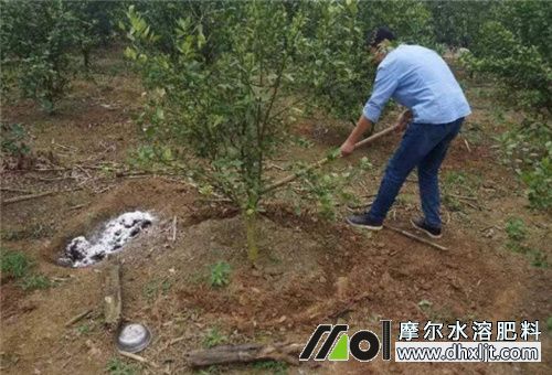 水沖肥見效時間 水沖肥見效時間