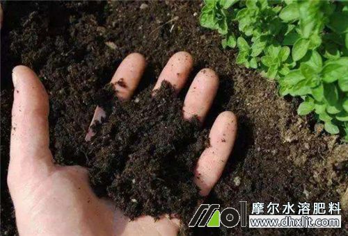 沖施追肥注意 沖施追肥注意