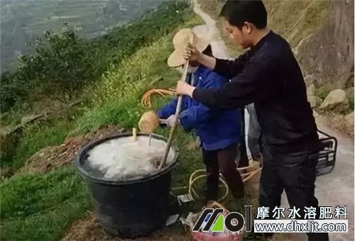 水沖肥用量比例 水沖肥用量比例