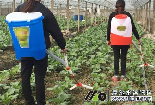 土豆沖施肥用法 土豆沖施肥用法