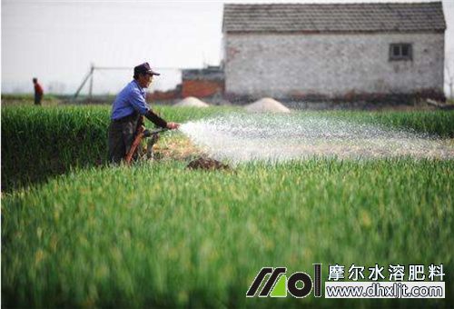 沖施澆灌施肥 沖施澆灌施肥