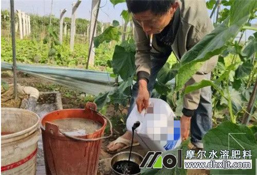 沖施施肥 沖施施肥