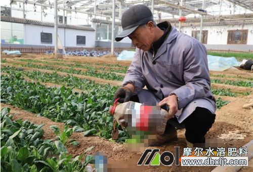 沖施肥用量 沖施肥用量