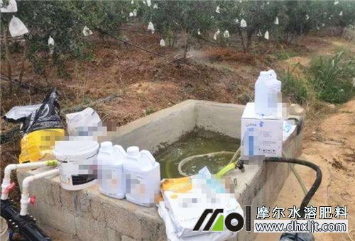 滴灌肥用量 滴灌肥用量