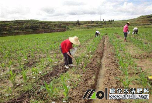 土壤追肥用量 土壤追肥用量