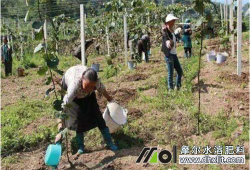 沖施肥用量 沖施肥用量