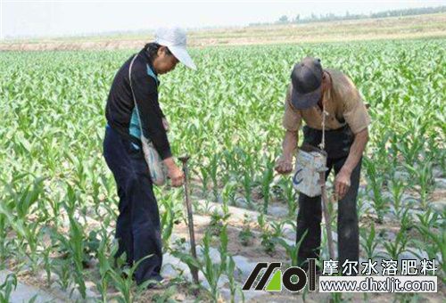 土壤追肥 土壤追肥