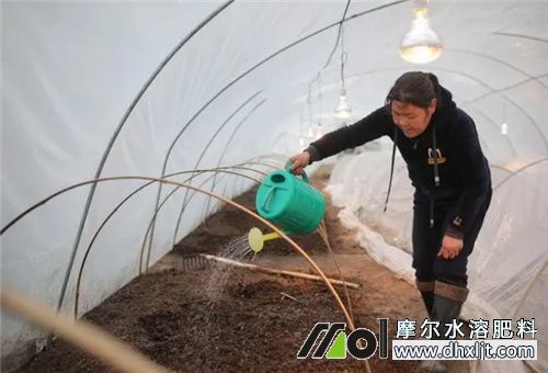 水沖沖施肥 水沖沖施肥