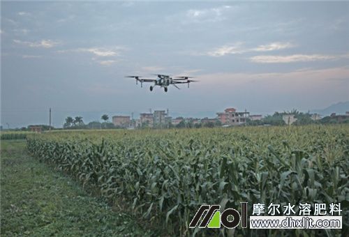 無人機飛防噴施 無人機飛防噴施