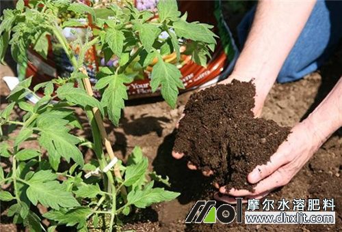 有機肥化成水沖肥 有機肥化成水沖肥