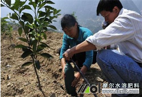 有機肥化成水沖肥 有機肥化成水沖肥