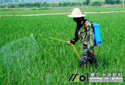 作物噴施除草劑 作物噴施除草劑