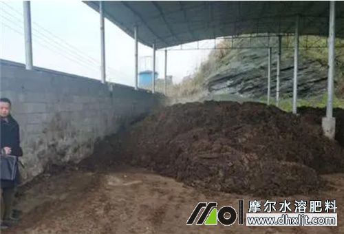 絲瓜底肥建議 絲瓜底肥建議