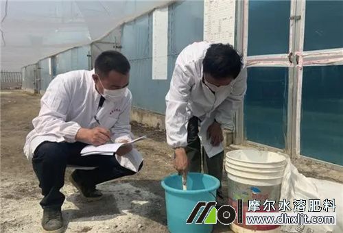 沖施肥用法 沖施肥用法