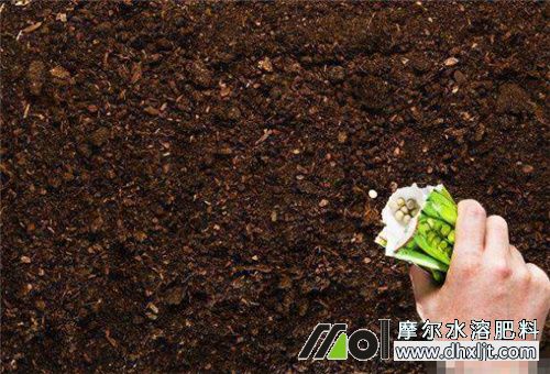 沖施肥使用注意 沖施肥使用注意