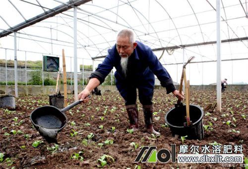 怎么讓沖施肥發(fā)揮效果 怎么讓沖施肥發(fā)揮效果