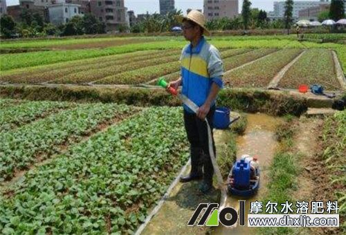 水沖肥選擇 水沖肥選擇