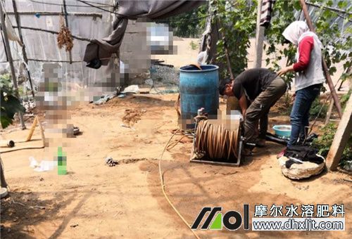 肥料溶解 肥料溶解