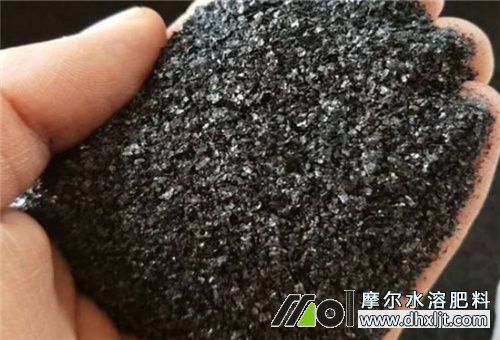 腐殖酸肥 腐殖酸肥