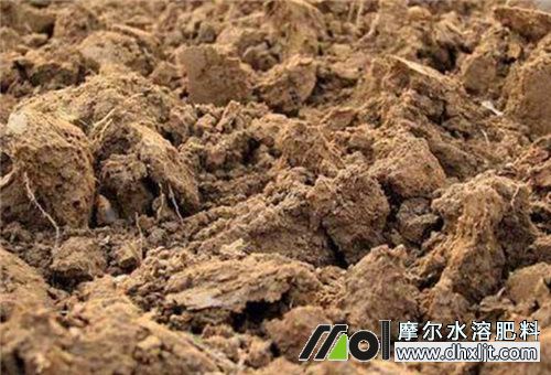 沖施肥改善土壤 沖施肥改善土壤