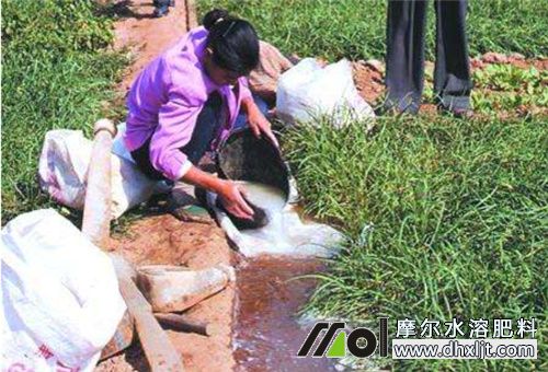 沖施肥高效用法 沖施肥高效用法