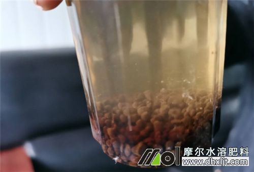 不能用水沖的肥料 不能用水沖的肥料