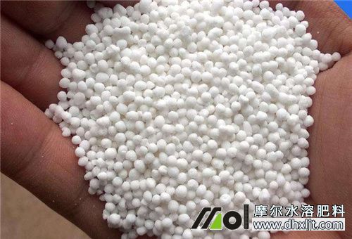 化肥能否水沖施 化肥能否水沖施