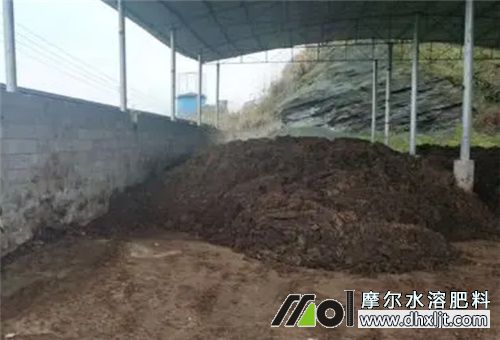 大蒜施用農家底肥 大蒜施用農家底肥