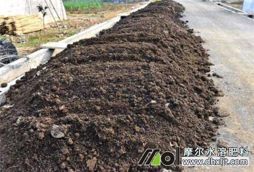 香瓜基肥選擇 香瓜基肥選擇