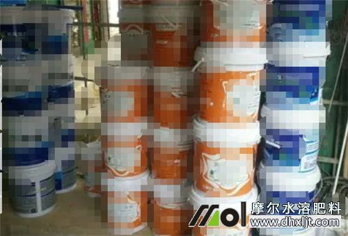 芹菜追肥用沖施肥 芹菜追肥用沖施肥