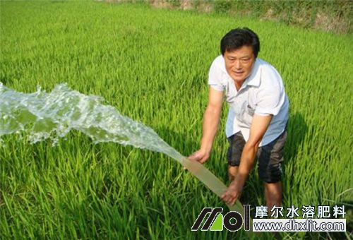 施肥灌溉和溶解 施肥灌溉和溶解