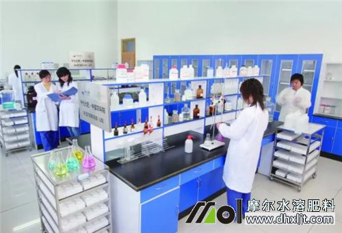 肥料選擇 肥料選擇